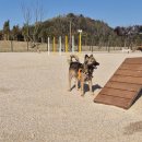 우리집앞동물병원 이미지