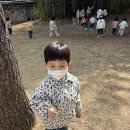 ☀️연화4반☀️자연물로 놀아요&amp;방과후 이미지