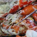 홍도해물 이미지