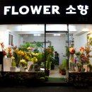 플라워소향