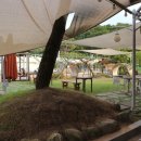 (주)오뎅식당 이미지