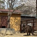 경인농장2 이미지