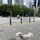 평촌예치과병원 이미지
