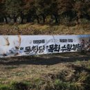 목화당