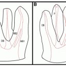 똑디치과의원 이미지