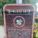 능골근린공원 이미지