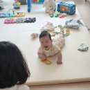 별똥마켓 | [올드페리도넛] 커피랑 먹기 좋은 마켓컬리 고메도넛 8구 세트 후기!