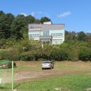 용문산 은행나무길(물소리길 6코스) 이미지