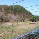 둘레길 민박 이미지