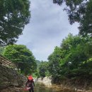 진산면 삼가리 청동 청강수 계곡펜션21.7.25 이미지