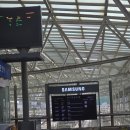 시민운동장(동) | 어른표(?) 경주 수학여행 그리고 2025 경주 국제 마라톤 하프를 끝으로 런저니 마무리!