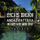 #🇹🇭Pattaya. 안다즈 파타야 좀 티엔 비치에 대한 모든 것 (Roof Gargen/수영장/인피니티풀/Lagoon Court...