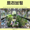 브링 | 청주대형카페 도심속에서 힐링하기 좋은 트리브링 방문후기
