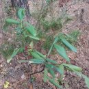 개산초등학교 이미지