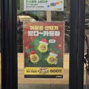 그레인 | 서브웨이 아보카도 키링 이벤트 &amp; 그레인빵 후기