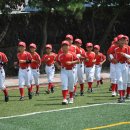 신광초교 이미지