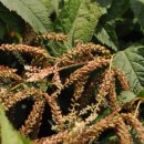 영월군농업기술센터 이미지