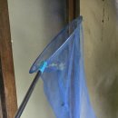 토봉 Daum카페