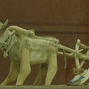 이랴이랴 워~워 이미지