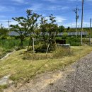 (주)대정농장 이미지