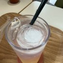 카페공식339