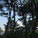 산청추어탕 - 군포시 산본천로 227 | 산청추어탕
