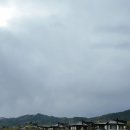알펜시아에스테이트 | 알펜시아CC 후기 — 평창 메도우·포레스트 코스, 99타 달성과 대관령 한우까지