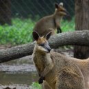 하마하우스 이미지