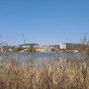 용수교 둔치 축구장 이미지