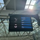 037-1 | [20260313] 서울역 출발 SRT 타보기 (SRT 037 부산행 탑승 후기)