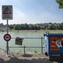 라인강은 스위스 미세 플라스틱으로 가장 오염된 강입니다. 이미지