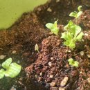 계양종합사회복지관 이미지