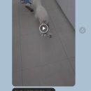 아람동물의료센터 이미지