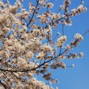 T-Master 연화태권도장 이미지