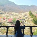 섬진강댐물문화관 화장실 | [봄여행지추천] 광양매화축제 3년째 재방문한 후기/평일방문꿀팁/매돌이굿즈볼거리