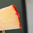 탕후르츠 | 홍대/합정 가성비 좋은 탕후루 맛집 탕후르츠 | 링고아메 맛집