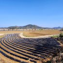 북상주IC주유소 이미지