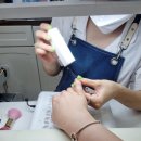 네일프리다 이미지