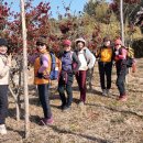 회령진성공원 이미지