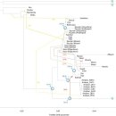 북부유전자 이미지