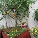 사천(순천) 이미지