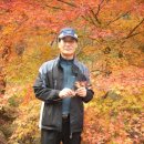 불영계곡1전망대 이미지