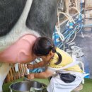 율리목장 이미지