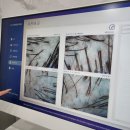 (주)아성다이소 광주수완점 | 모락, AI 4차수업, 노트북LM, 베맷원 점심, 비바모던 데코덴, 쭈불리, 신창동 노커스, 다이소 패스트푸드