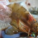 풍성한맛식당 이미지