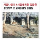 씨유서울대공원호랑이점 | 서울대공원 동물원 나들이 다녀왔어요