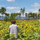 구례의길(섬진강길) 이미지