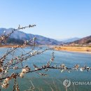 섬진강협동조합 이미지