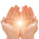 로얄애견 이미지