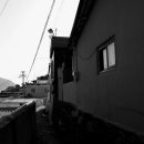 초장동12 이미지